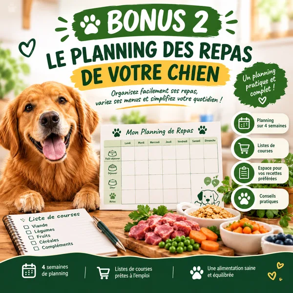 Bonus 2 — Le Planning des Repas